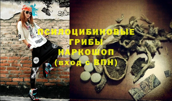 круглые Карпинск