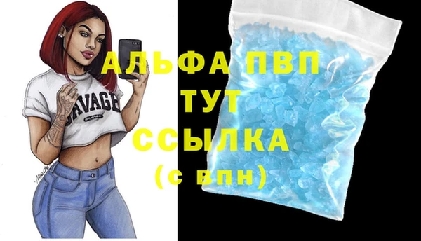 круглые Карпинск